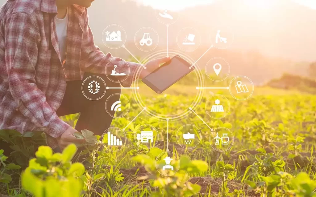 MBA em Agronegócio é possibilidade de profissionalização em segmento que só cresce no país